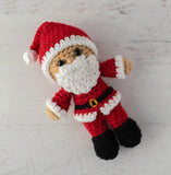 Santa Claus Tamingo Doll